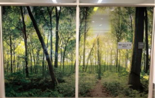 photo of tree mural on glass outside reflection room at Schulich